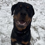 Entry image for Banner