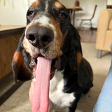 Entry image for Maggie