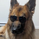 Entry image for Radar