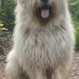 Entry image for Kingston