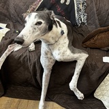 Entry image for Benson