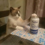 Entry image for Soup