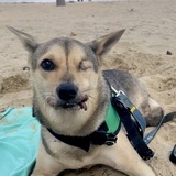 Entry image for Captain