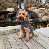 Entry image for Charley