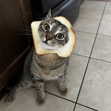 Entry image for Kendrick