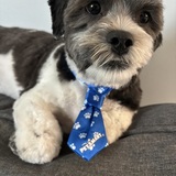 Entry image for Marty 