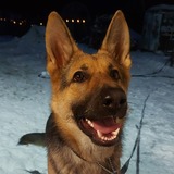 Entry image for Daisy Duke 