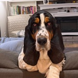 Entry image for Muwin