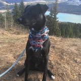 Entry image for Everest