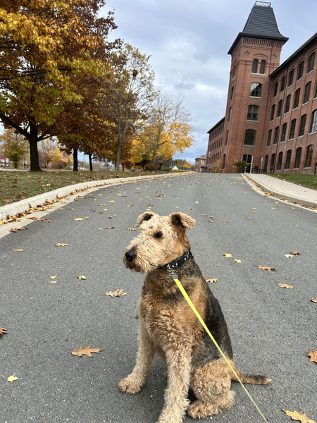 Entry image for Avery . Clicking this image will show a larger photo