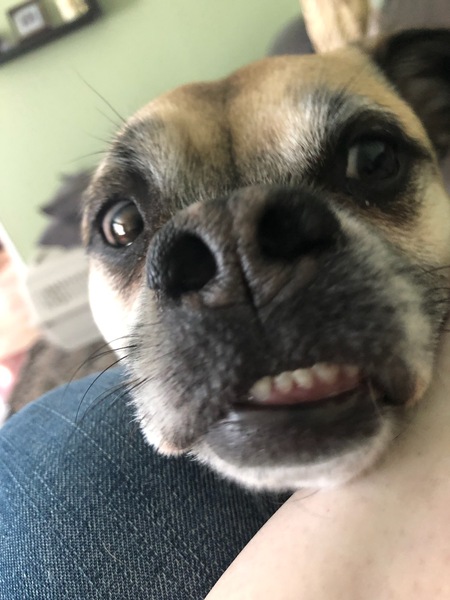 Entry image for Eggroll . Clicking this image will show a larger photo