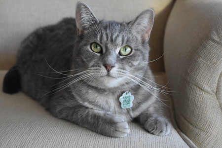 Entry image for Mindy. Clicking this image will show a larger photo