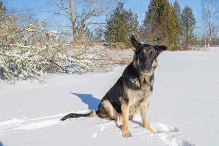 Entry image for Luke. Clicking this image will show a larger photo