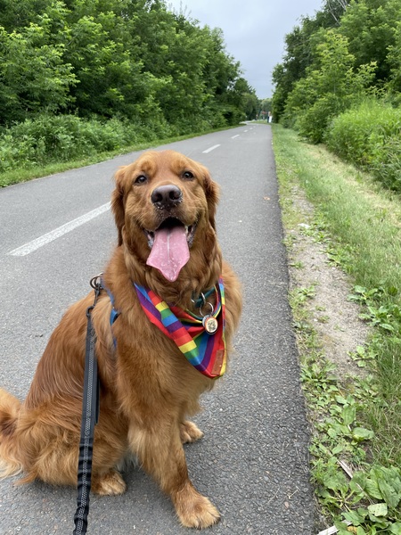 Entry image for Rue. Clicking this image will show a larger photo