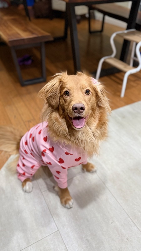 Entry image for Lily. Clicking this image will show a larger photo