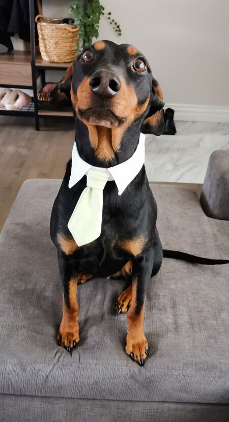 Entry image for Jackson. Clicking this image will show a larger photo