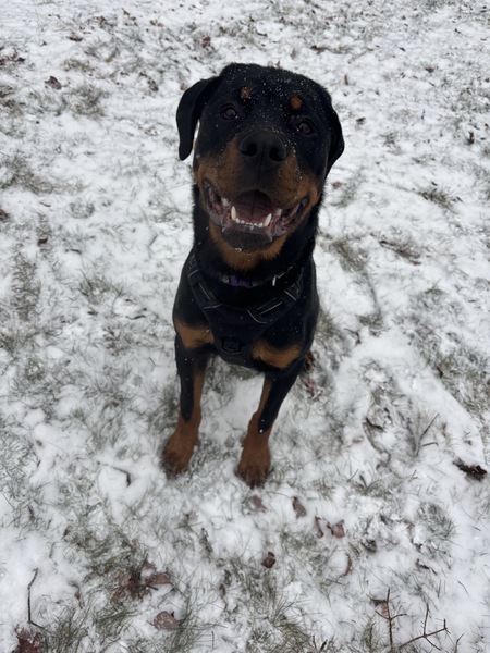 Entry image for Banner. Clicking this image will show a larger photo