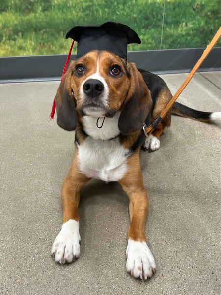 Entry image for Vin. Clicking this image will show a larger photo