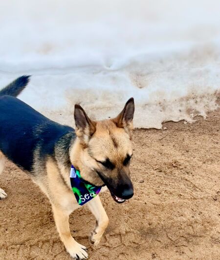 Entry image for Sea. Clicking this image will show a larger photo