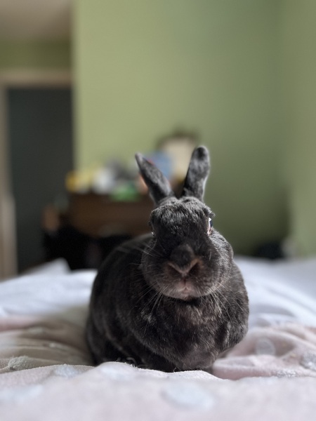 Entry image for Stuart. Clicking this image will show a larger photo