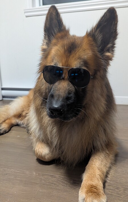 Entry image for Radar. Clicking this image will show a larger photo