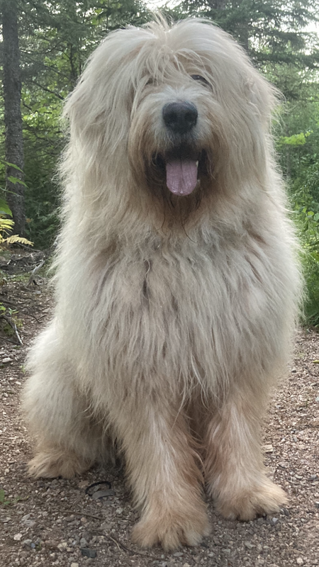 Entry image for Kingston. Clicking this image will show a larger photo