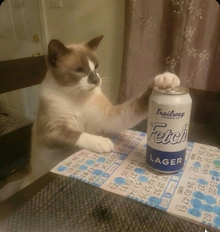 Entry image for Soup. Clicking this image will show a larger photo