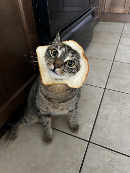 Entry image for Kendrick. Clicking this image will show a larger photo