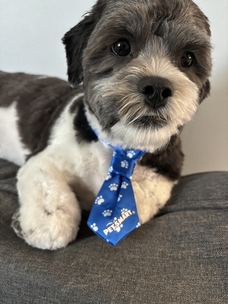 Entry image for Marty . Clicking this image will show a larger photo