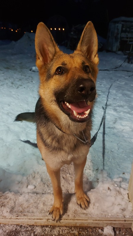 Entry image for Daisy Duke . Clicking this image will show a larger photo