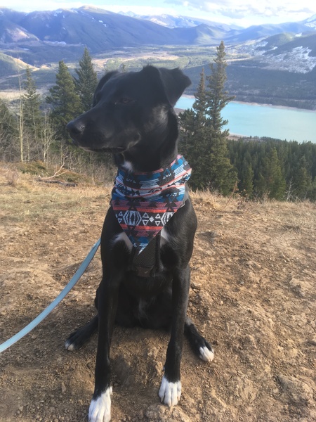 Entry image for Everest. Clicking this image will show a larger photo