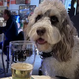 Entry image for Watson