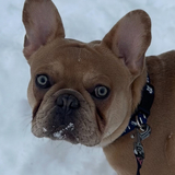 Entry image for David 