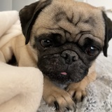 Entry image for kumi