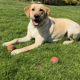 Entry image for Bailey 