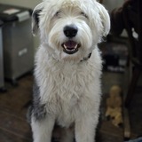 Entry image for Jake 