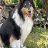 Entry image for Lailah