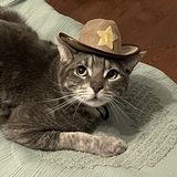 Entry image for Juniper