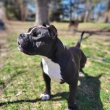 Entry image for Marta