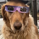 Entry image for Tucker