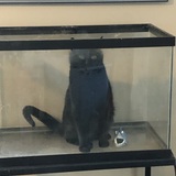 Entry image for Peter