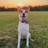 Entry image for Alya