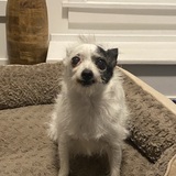 Entry image for Winnie