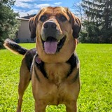 Entry image for Freyja