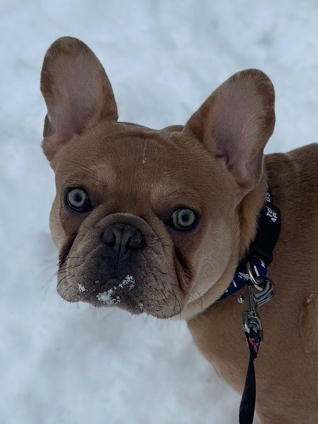 Entry image for David . Clicking this image will show a larger photo