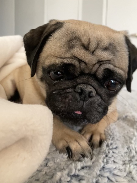 Entry image for kumi. Clicking this image will show a larger photo