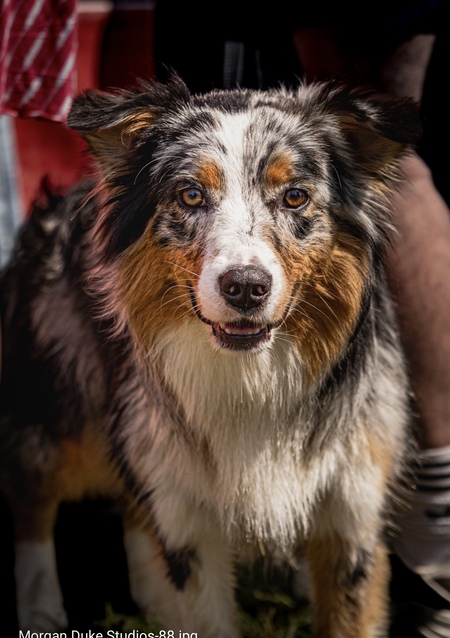 Entry image for Remi. Clicking this image will show a larger photo