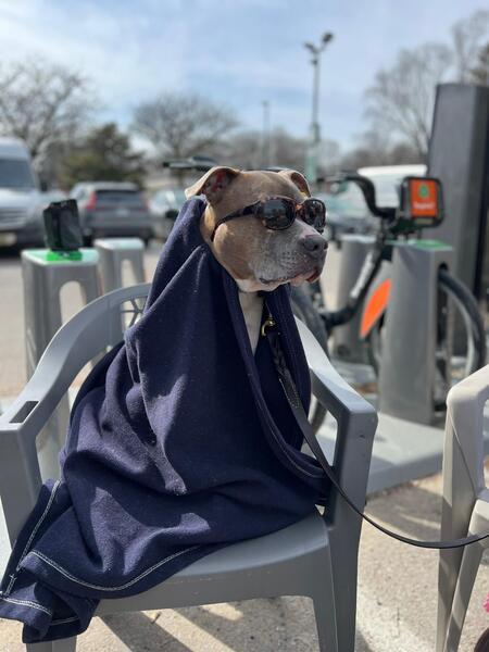 Entry image for Hannah (McJankerson) Francis . Clicking this image will show a larger photo