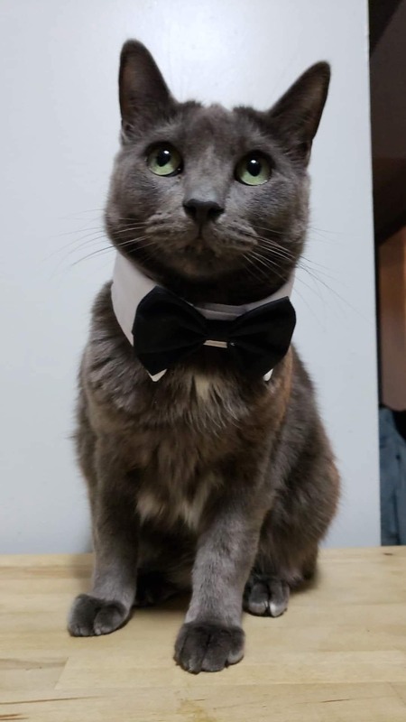 Entry image for Rufus. Clicking this image will show a larger photo