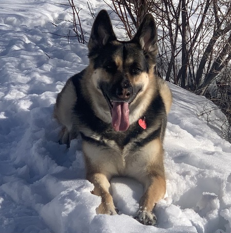 Entry image for Phoenix. Clicking this image will show a larger photo